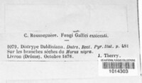 Eutypa daldiniana image